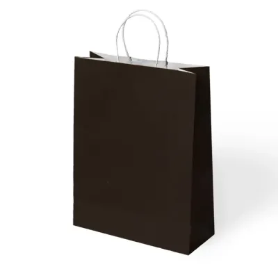 Black Paper Bags with Twisted Handles - 1