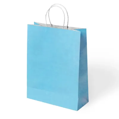 Blue Paper Bags with Twisted Handles - 1
