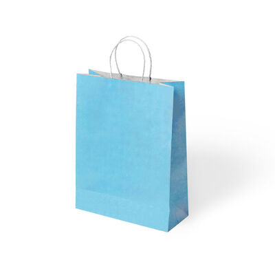 Blue Paper Bags with Twisted Handles - 1