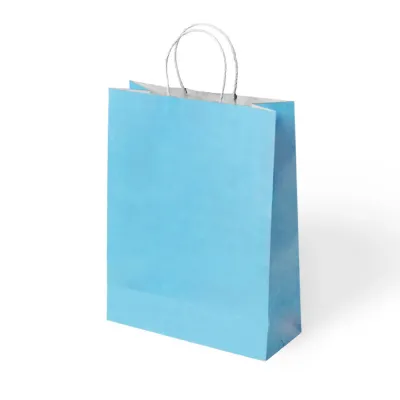 Blue Paper Bags with Twisted Handles - 1