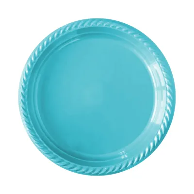 Blue Plastic Plates - 1