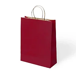 Büküm Saplı Kraft Çanta 25x31 cm 5'li - 2