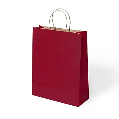 Büküm Saplı Kraft Çanta 25x31 cm 5'li - 2