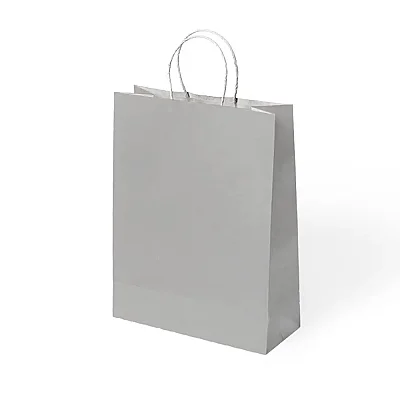 Büküm Saplı Kraft Çanta 25x31 cm 5'li - 3