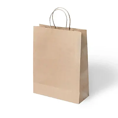 Büküm Saplı Kraft Çanta 25x31 cm 5'li - 4