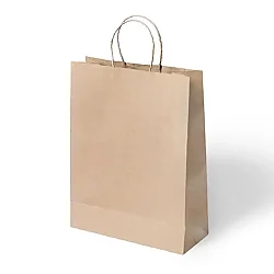 Büküm Saplı Kraft Çanta 31x41 cm 5'li - 3