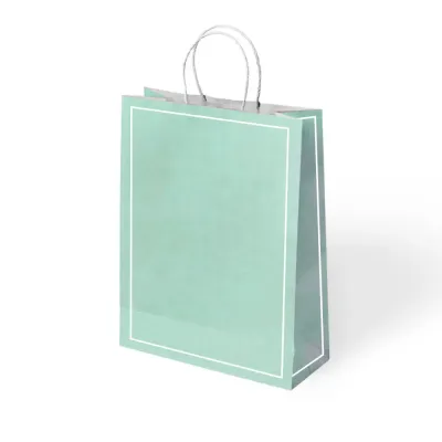 Green Macaron Paper Bags with Twisted Handles - 1