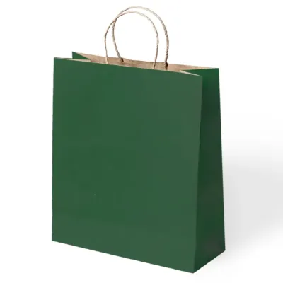 Green Paper Bags with Twisted Handles - 1