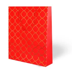 Luxury Gift Bag - Geometry - 1
