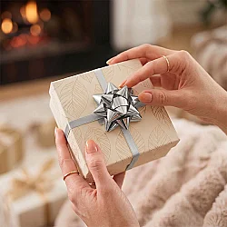Metallic Silver Gift Bows - No:2 - 1