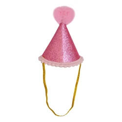 Mini Party Hat - (1)