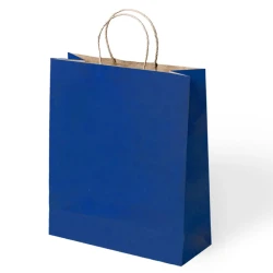 Navy Blue Paper Bags with Twisted Handles - 1