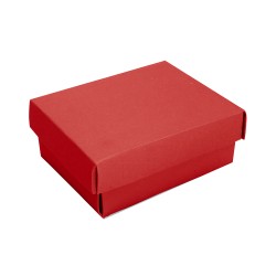 Kırmızı Kolye Kutusu - 2