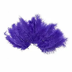 Purple Craft Rooster Feathers - Kikajoy (1)