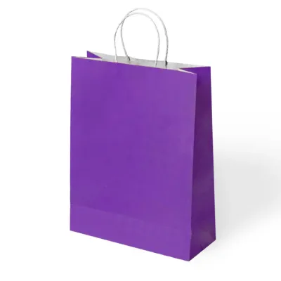 Purple Paper Bags with Twisted Handles - 1