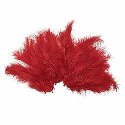 Red Craft Rooster Feathers - Kikajoy (1)