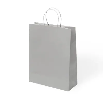 Silver Paper Bags with Twisted Handles - 1