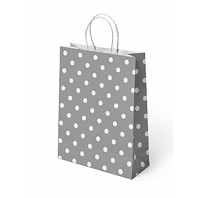 Silver Polka Dot Paper Bags with Twisted Handles - 1