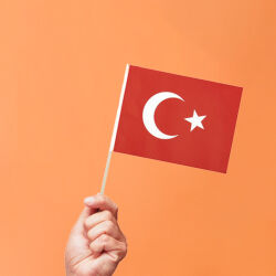 Turkish Hand Held Stick Paper Flags - 2