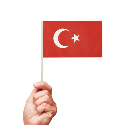 Turkish Hand Held Stick Paper Flags - 3