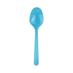 Turkuaz Plastik Kaşık - 2