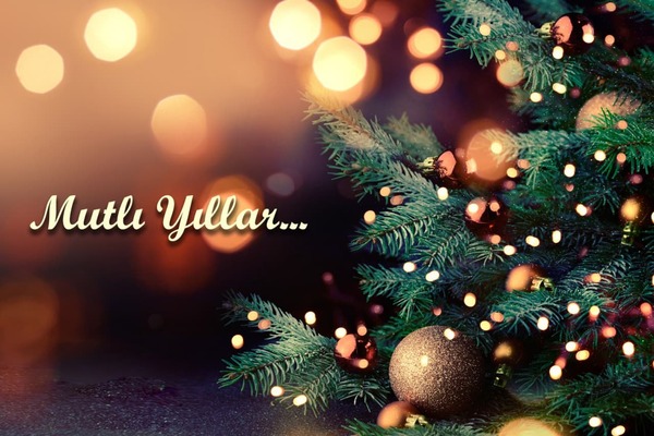 Yılbaşı Ağaç Seçimi Nasıl Olmalıdır?